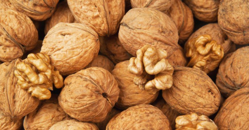 Nuts are renowned as "brain food"